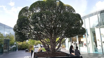 Bréal, Magasin de Vêtements à Moulins-lès-Metz
