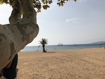 Mc KANE Collection, Magasin de Vêtements à Fréjus