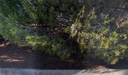 Olivia Grossiste Palme, Magasin de Vêtements à Marseille 16