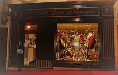 Le Monde Secret d'Isacanthe, Magasin de Vêtements à Ploërmel