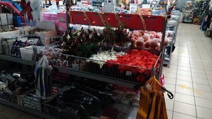 Zeeman Vienne Rue Allmer, Magasin de Vêtements à Vienne