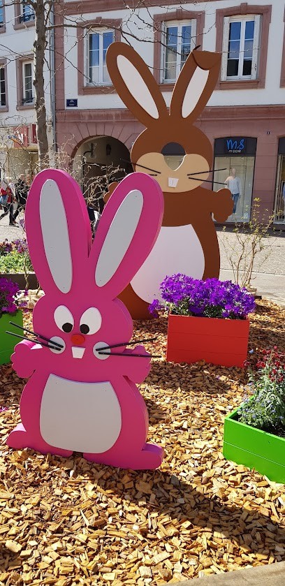 MS Mode, Magasin de Vêtements à Haguenau