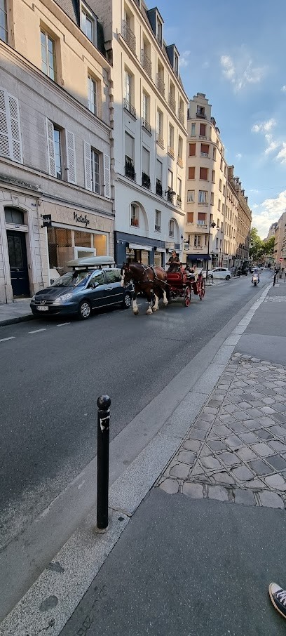News des Halles LA SUITE 111, Magasin de Vêtements à Paris 07