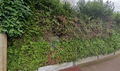 Dominator Style Wear, Magasin de Vêtements à Yerres