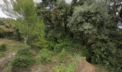 Tout Pour Elle, Magasin de Vêtements à Vendargues