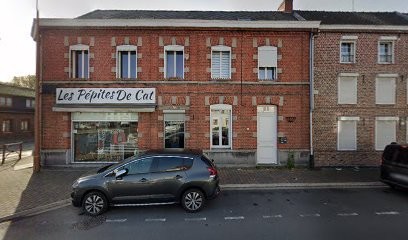 Les Pépites De Cat, Magasin de Vêtements à Hasnon