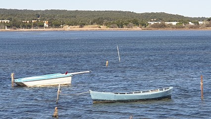 Arditti Catherine, Magasin de Vêtements à Gruissan