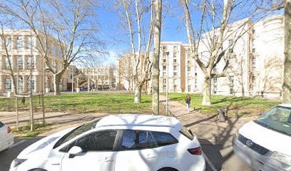 American Vintage Femme, Magasin de Vêtements à Montpellier