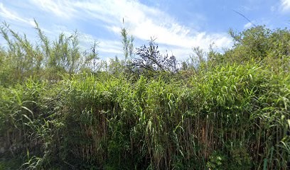 Superdry ™, Magasin de Vêtements à Ramatuelle