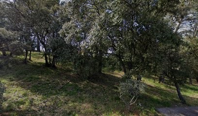 Negozio.fr, Magasin de Vêtements à Fréjus