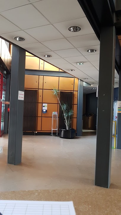 DAMARTEX (Headquarters), Magasin de Vêtements à Roubaix