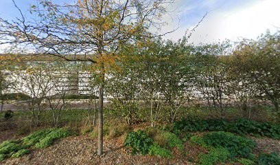 Cache Cache, Magasin de Vêtements à Saumur