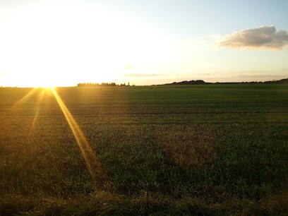 Powermode sas, Magasin de Vêtements à Château-Landon