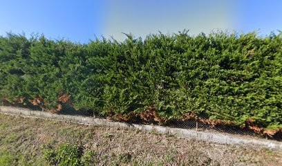 Bebe Se Porte Bien, Magasin de Vêtements à Moissac