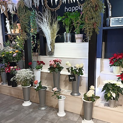 Promod, Magasin de Vêtements à Saint-Louis