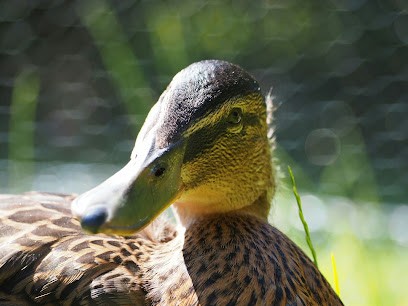La Halle La Chapelle En Serval, Magasin de Vêtements à La Chapelle-en-Serval