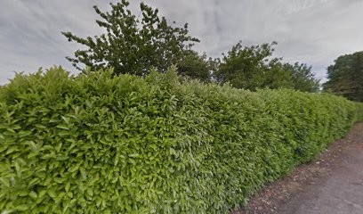 Boutique en ligne Divin'elle, Magasin de Vêtements à Vignacourt