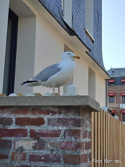L'Etoile de Mer, Magasin de Vêtements à Étretat