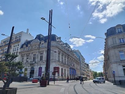 Gino, Magasin de Vêtements au Mans