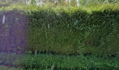 L'Armoire de Camille, Magasin de Vêtements à Livarot-Pays-d'Auge